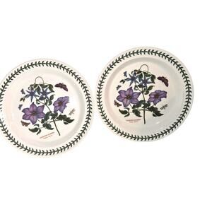 pair Portmeirion The Botanical Garden 10 1/2 in dinner plates -Clematis Florida